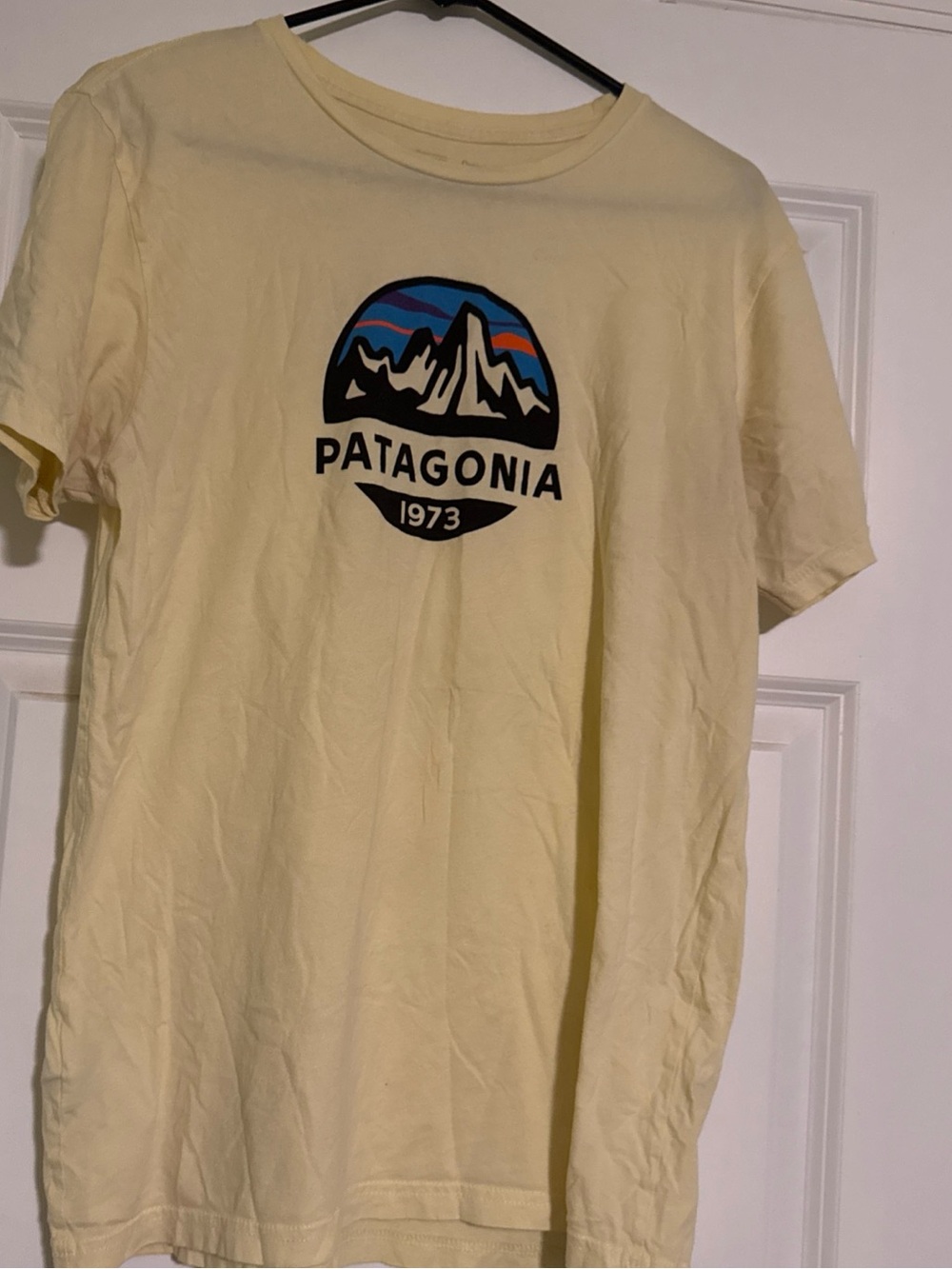 Patagonia 1973 Organic Cotton Graphic Tee Shirt Made USA Men Medium Slim Fit